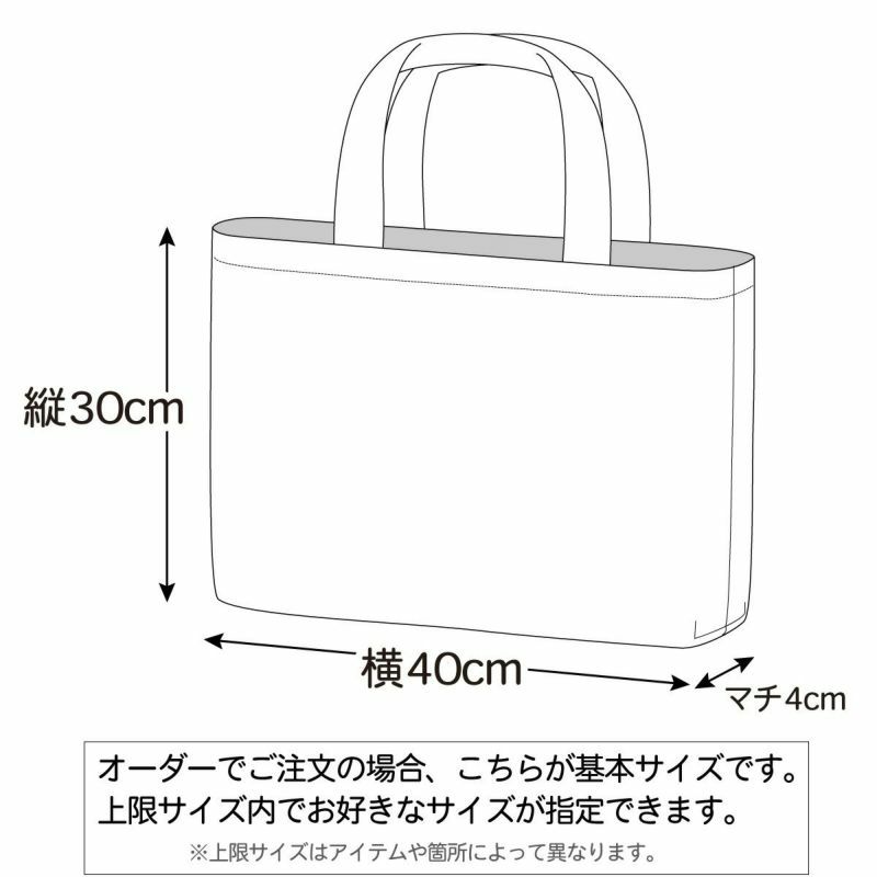 入園入学 kippis 2色使いのレッスンバッグキット 教育