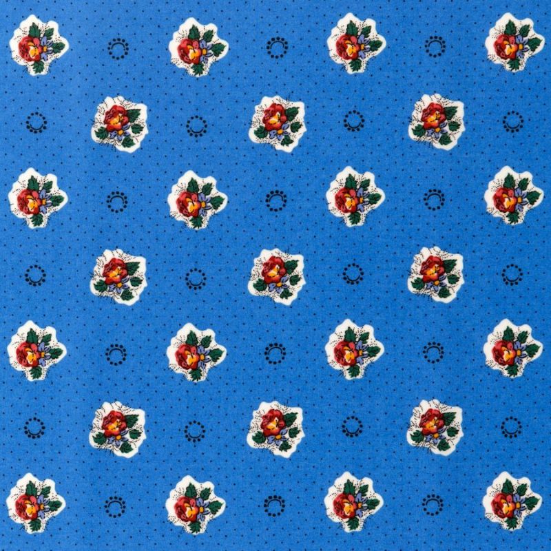 SOULEIADO ソレイアードシーチングラミネートル・プランタン ジェイ